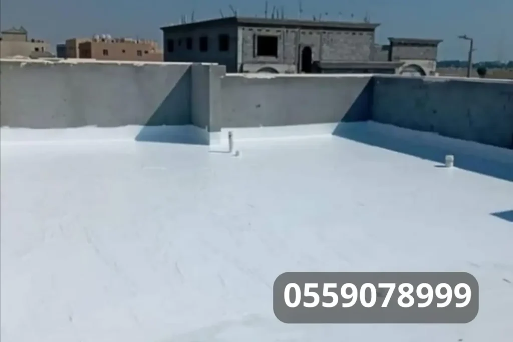 14 20260212 012751 ٠٠١٣