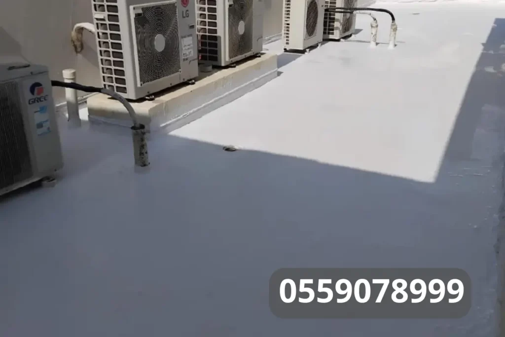 19 20260212 012751 ٠٠١٨